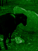 0BWgu5O83j.png