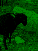 0Rd8AhI8eV.png