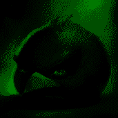 2RFVwxHT4m.png