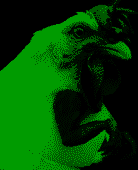 5ytyQLaoJz.png