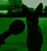 8XloqNQGWO.png