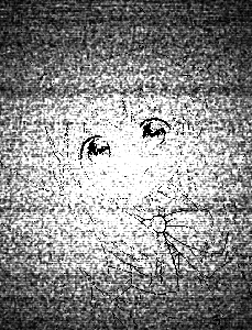B59ZuF4wQu.png