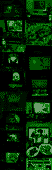 BGaTHekwLV.png