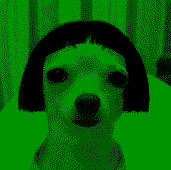 C9uxDA9REO.png