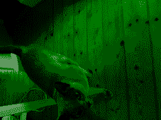 DrVHxrdxmO.png