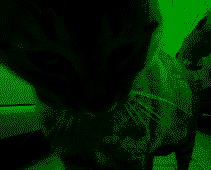EReSuymGvS.png