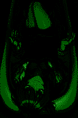 G3qNRJr2ei.png