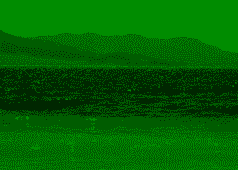 GnVInaRrKO.png