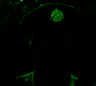 N0o2LpfNc9.png