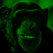 NTGD4NPLe8.png