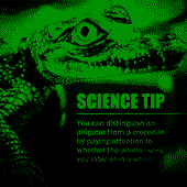 Ny8jnK1B7P.png