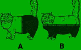 QzaV5C7M8v.png