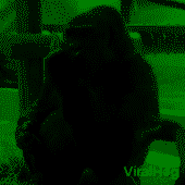 RJSiOngACb.png