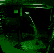 Uxds84rwQ0.png