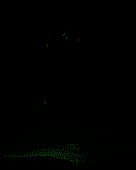 XFAYPHPc65.png