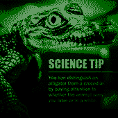 XhlXAE62qk.png