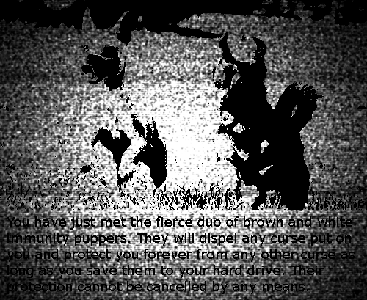 Z5Fd94zo5N.png