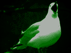a92ypls7uW.png