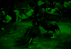 aTMkK1EUDe.png