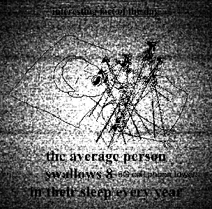 aVjJlBvk2i.png