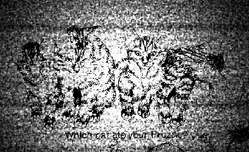 dtoXKw6Wpa.png