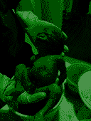 fWSBFZGnN6.png