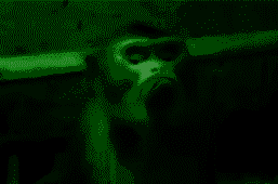 frrLy3WfMC.png