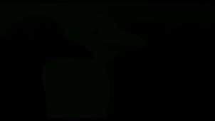 hc19Drl3RH.png