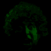 iHE8E9S2Fa.png