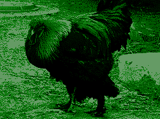 iOeZUWzbdI.png