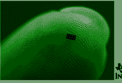 jJYxNbP6uP.png