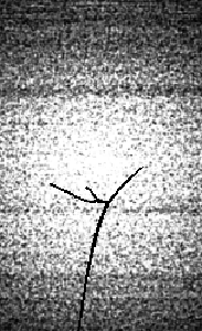 jjxe2IegGr.png