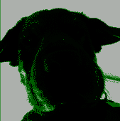 nXNVLHSXZL.png