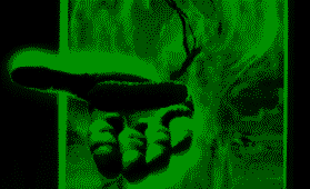 ofQzbT2tNc.png