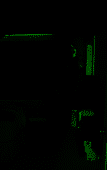 r6iJYl2R47.png