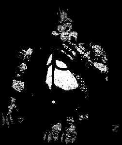 rMZJuYT6e8.png
