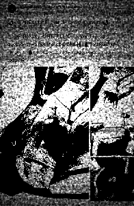 vMBJDl0Bbm.png