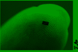whdnjAhQDi.png