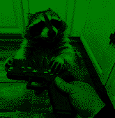 y0aotpinEv.png