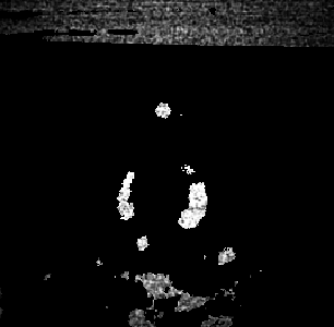 yE6C5nRMY8.png